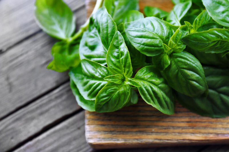 Fresh basil leaves on a wooden background