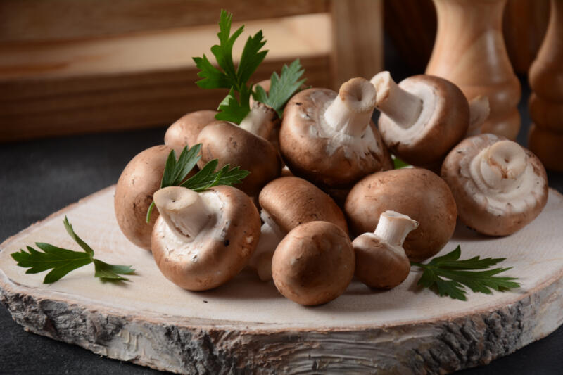 Agaricus bisporus also known as Cremini mushrooms on a piece of wood