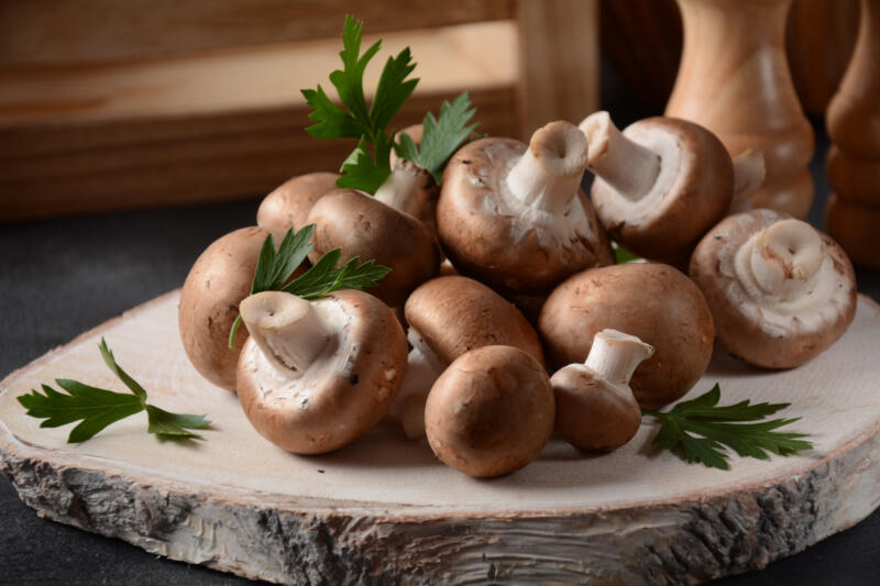 The Mighty Mushroom: Guide to the Highest Protein Varieties