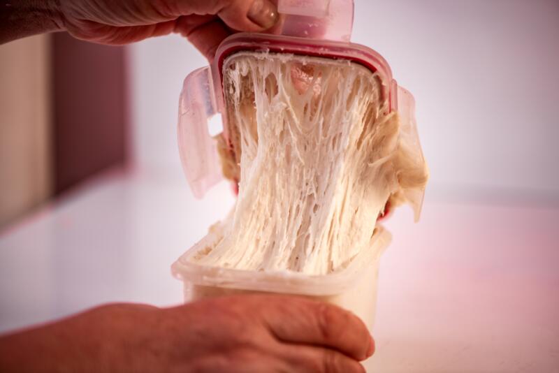 Fermented dough in a airtight container