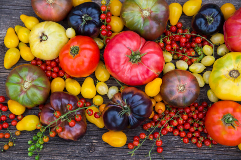 Different kinds of Heirloom tomatoes on the table