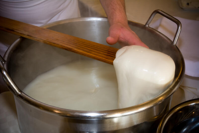 Handmade production of Mozzarella cheese close-up