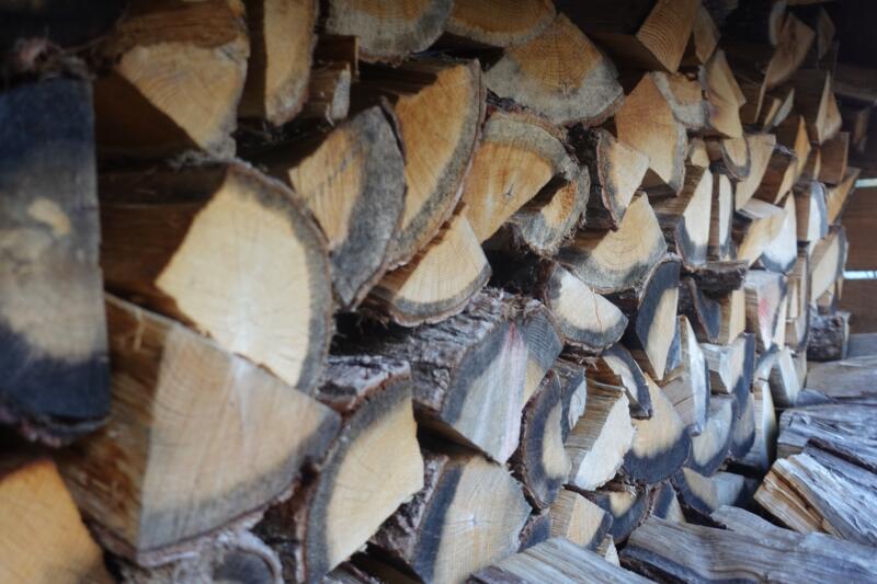 Kiln dried oak logs close-up