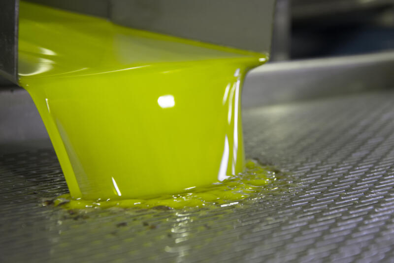 Fresh virgin olive oil pouring after processing
