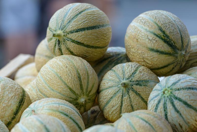 A box full of perfectly ripe aromatic Charentais melons on a market stall 