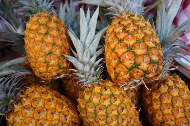 Kona Sugarloaf pineapples close-up