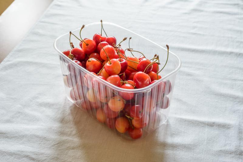 Morello cherries in a plastic crate on a white table linen