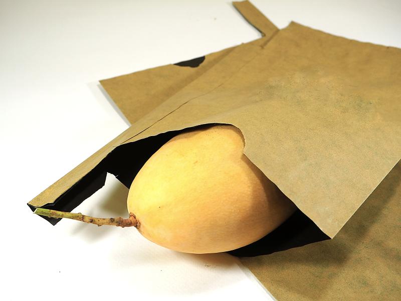 Ripe mango in a paper bag on white background