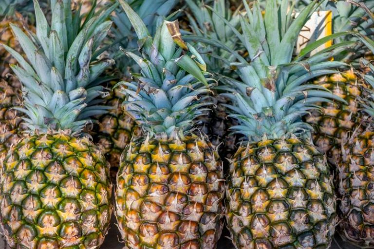 Are Pineapples Acidic? Full Guide to Pineapple Acidity