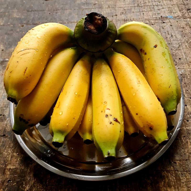 Ripe yellow Gros Michel bananas on a wooden table