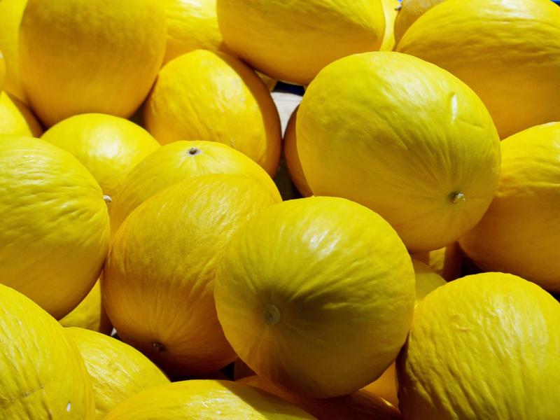 Cucumis melo also known as Canary melons or winter melons in a pile close-up